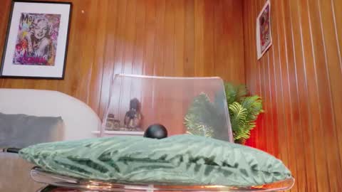 Karina  online show from March 9, 8:24 pm