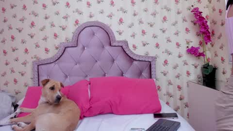 CAMILA online show from January 31, 5:30 am