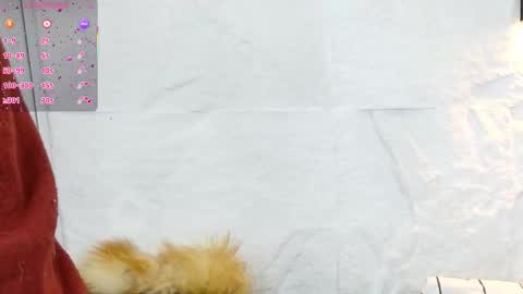 Violeta online show from December 5, 1:20 pm